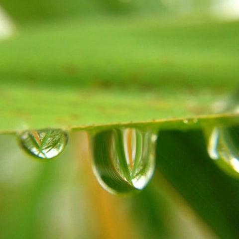 3 in 1 Mobile Phone Lenses - mytechnotool.com